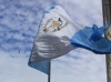 gironmaybi6 gironmaybi6
