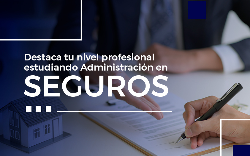 Destaca como profesional en Administración en Seguros