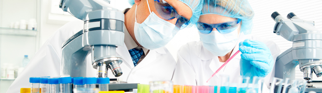 Alianzas de escuelas de nutrición