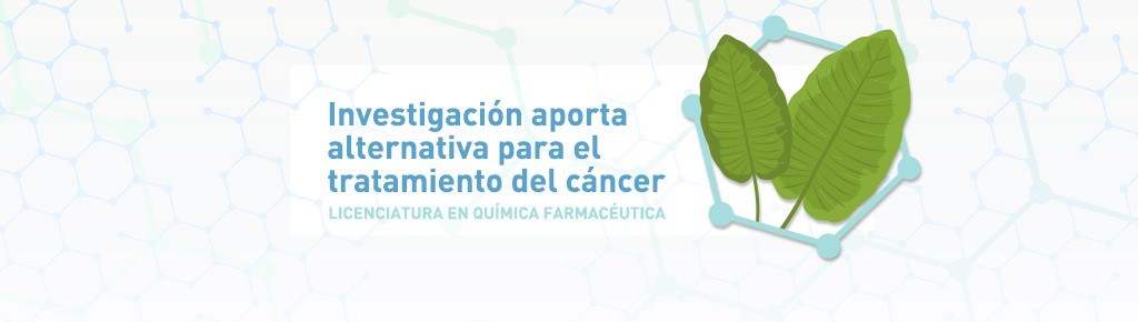 Imagen: Estudiante plantea Investigación que aporta alternativa para el