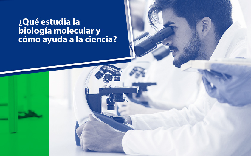 ¿Qué estudia la biología molecular y cómo ayuda a la ciencia?