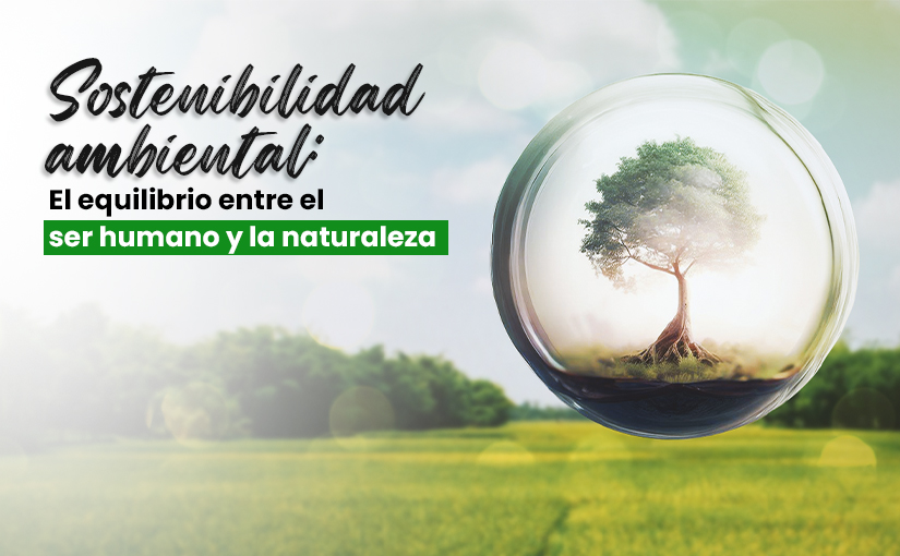 Sostenibilidad Ambiental