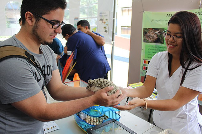Imagen: Se realiza el 2do. Festival de Salud Pública Veterinaria