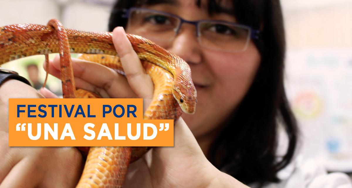 Imagen: Festival de salud veterinaria se celebra en U Galileo