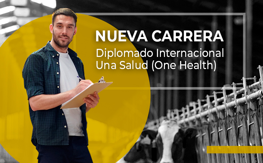Conoce y estudia el nuevo Diplomado Internacional Una Salud (One Health)