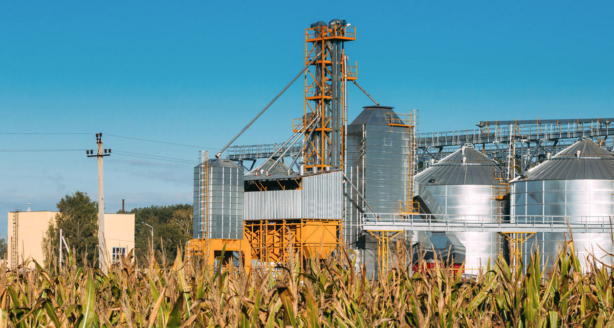 Maestría en Productividad en Ciencias Agrícolas