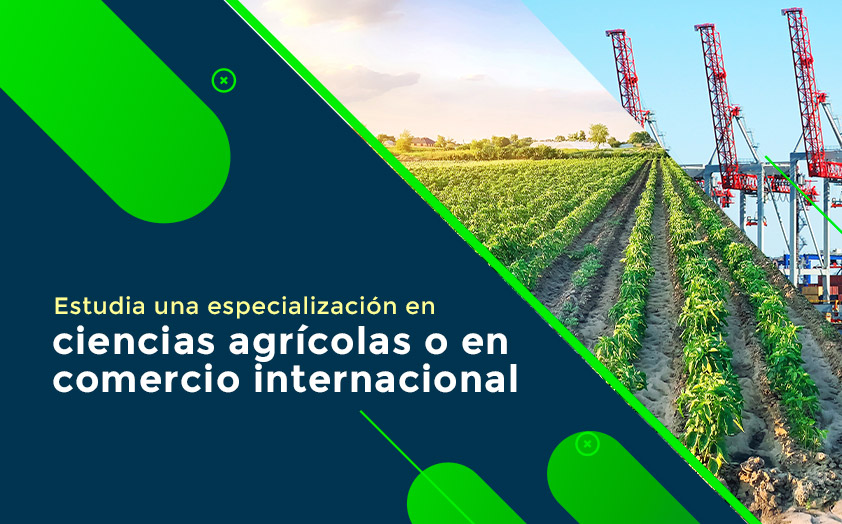 Estudia una especialización en ciencias agrícolas o en comercio internacional