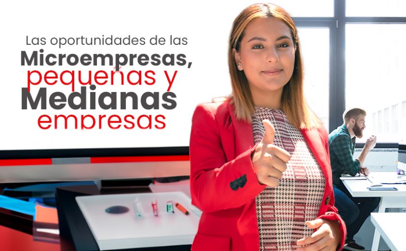 Microempresa y PYME