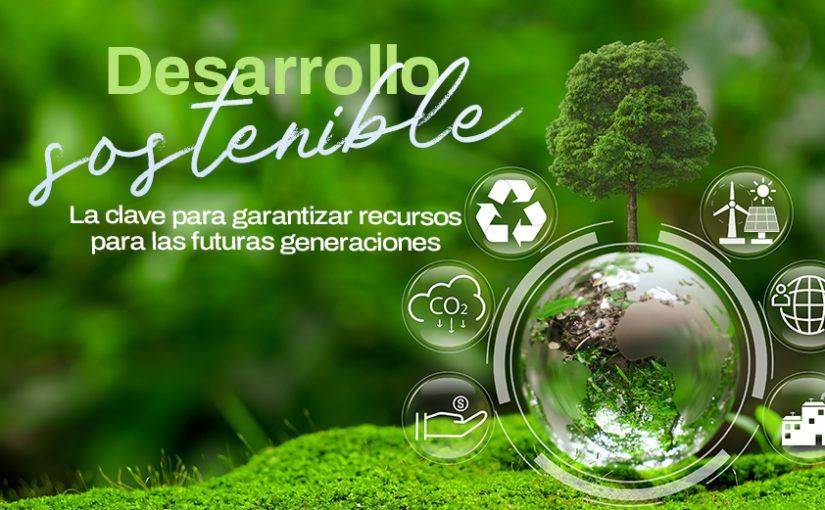 desarrollo sostenible y las estrategias empresariales