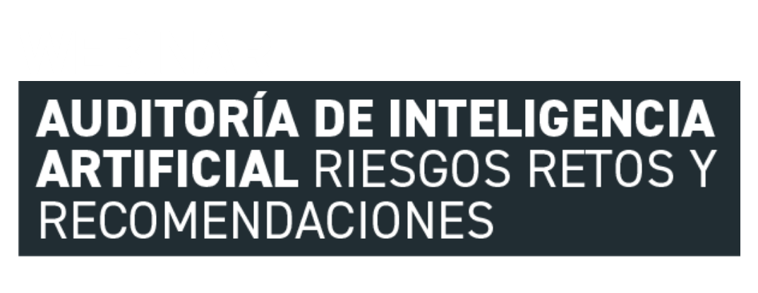 AUDITORÍA DE IA