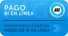 Pagar en Bi en Linea