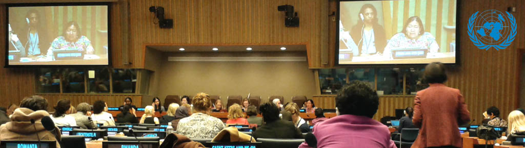 Imagen: Laura Reyes participa en foro internacional CSW59 - Beijing + 20