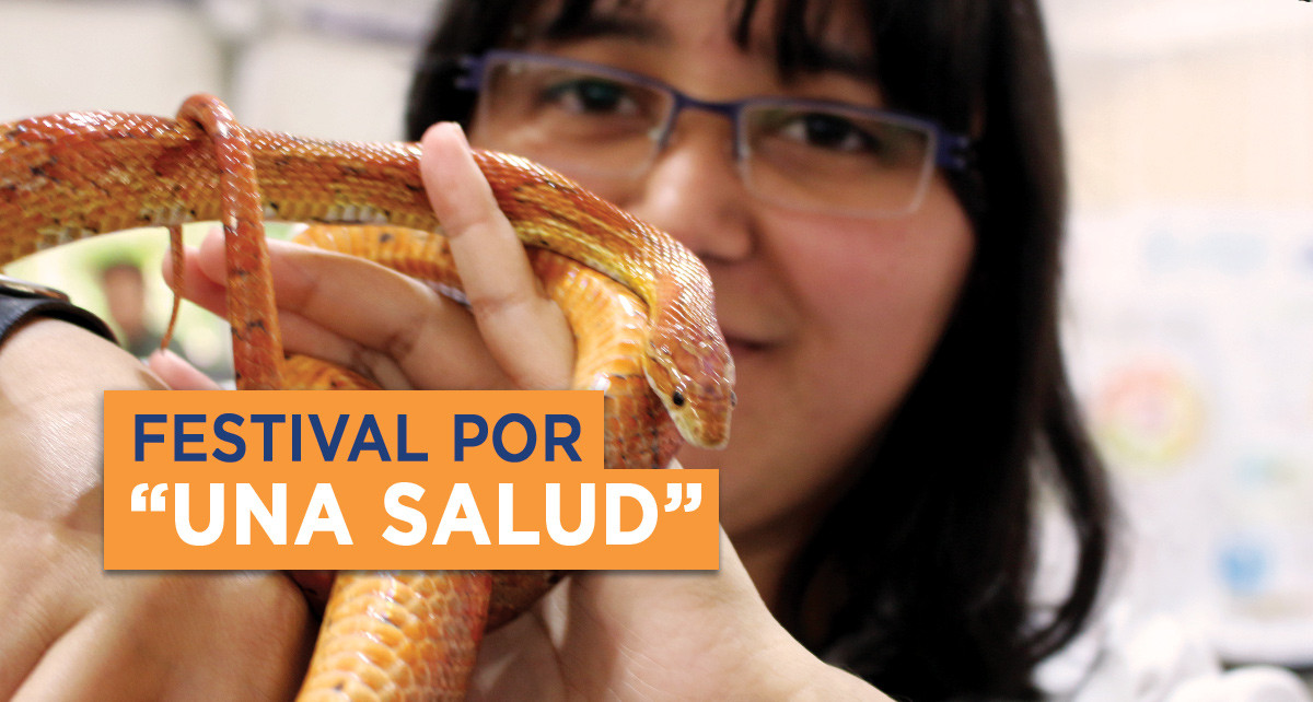 Imagen: Festival de salud veterinaria se celebra en U Galileo